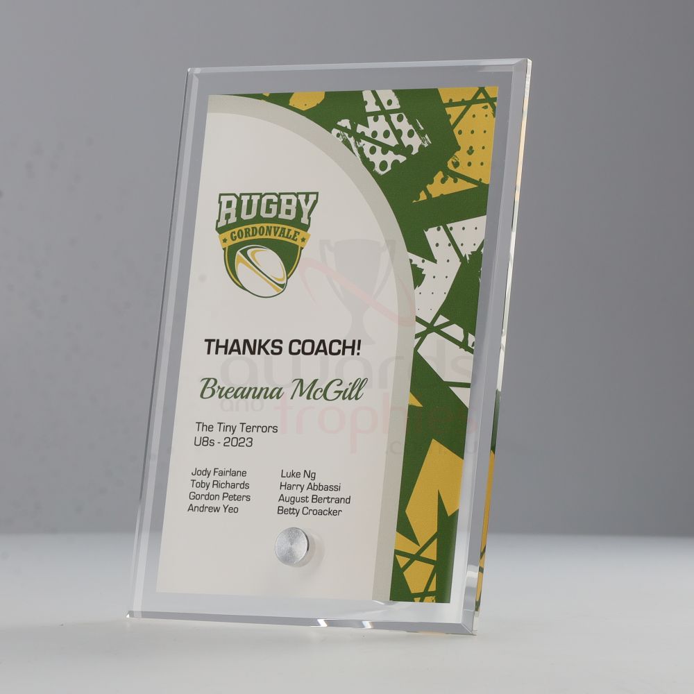 Rugby Team Colours Plaque V6 200mm